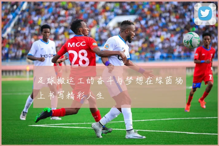 足球搬运工的奋斗与梦想在绿茵场上书写精彩人生