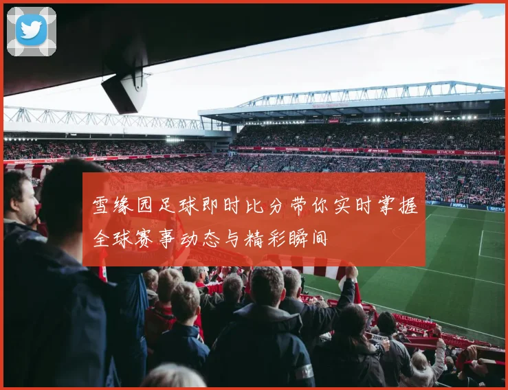 雪缘园足球即时比分带你实时掌握全球赛事动态与精彩瞬间